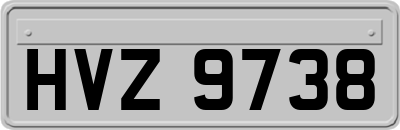 HVZ9738