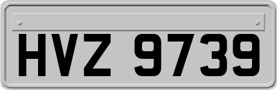 HVZ9739