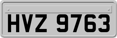 HVZ9763