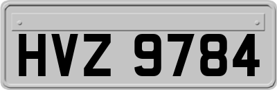 HVZ9784