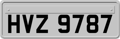 HVZ9787