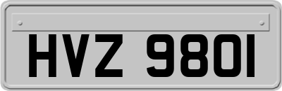 HVZ9801