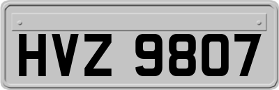 HVZ9807