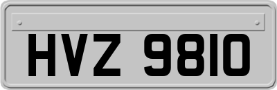 HVZ9810