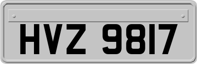 HVZ9817