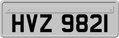 HVZ9821