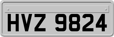 HVZ9824