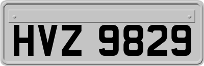 HVZ9829