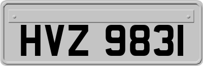 HVZ9831