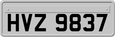 HVZ9837