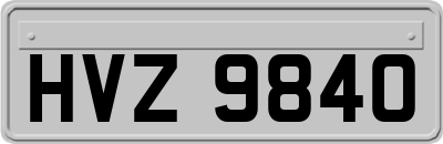 HVZ9840