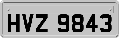 HVZ9843