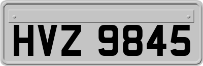 HVZ9845