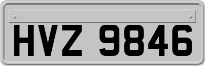 HVZ9846