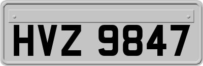 HVZ9847