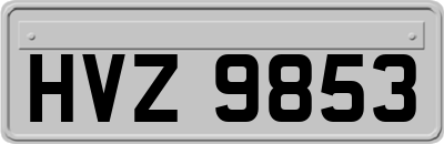 HVZ9853