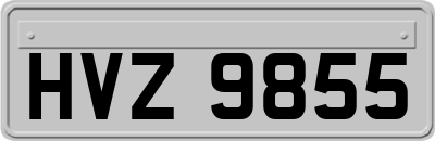 HVZ9855