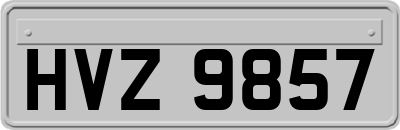 HVZ9857