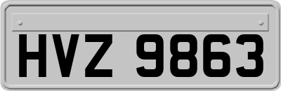 HVZ9863
