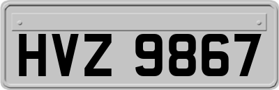 HVZ9867