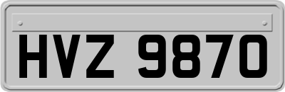 HVZ9870