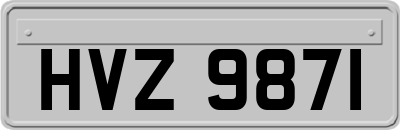 HVZ9871