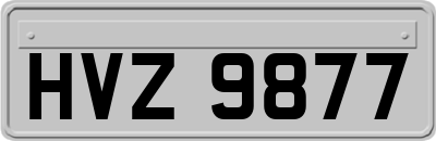 HVZ9877