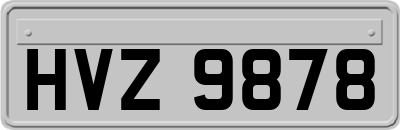 HVZ9878