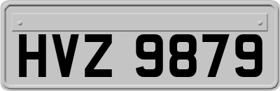 HVZ9879