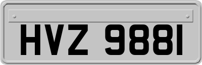 HVZ9881