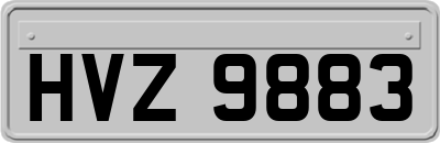 HVZ9883