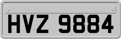 HVZ9884
