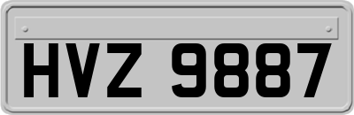 HVZ9887