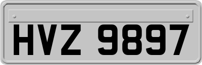 HVZ9897