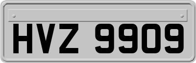 HVZ9909