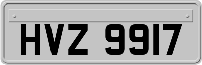 HVZ9917
