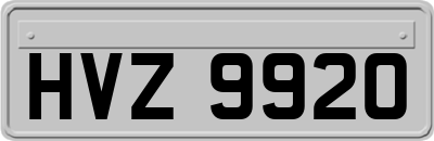 HVZ9920
