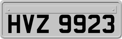 HVZ9923