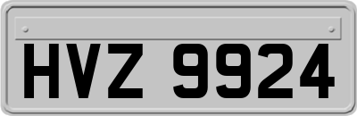HVZ9924