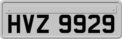 HVZ9929