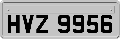 HVZ9956