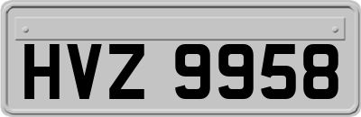 HVZ9958