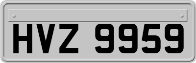 HVZ9959