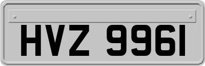 HVZ9961