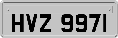 HVZ9971