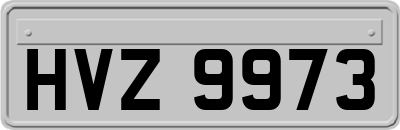 HVZ9973