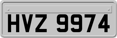 HVZ9974