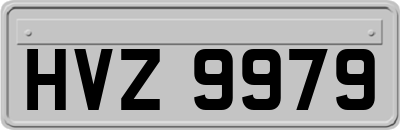 HVZ9979