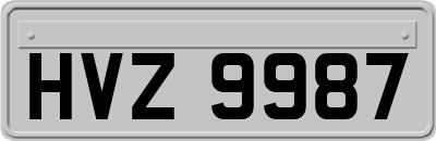 HVZ9987