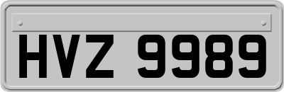 HVZ9989